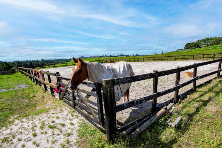 107 Native Road Pukekawa_15