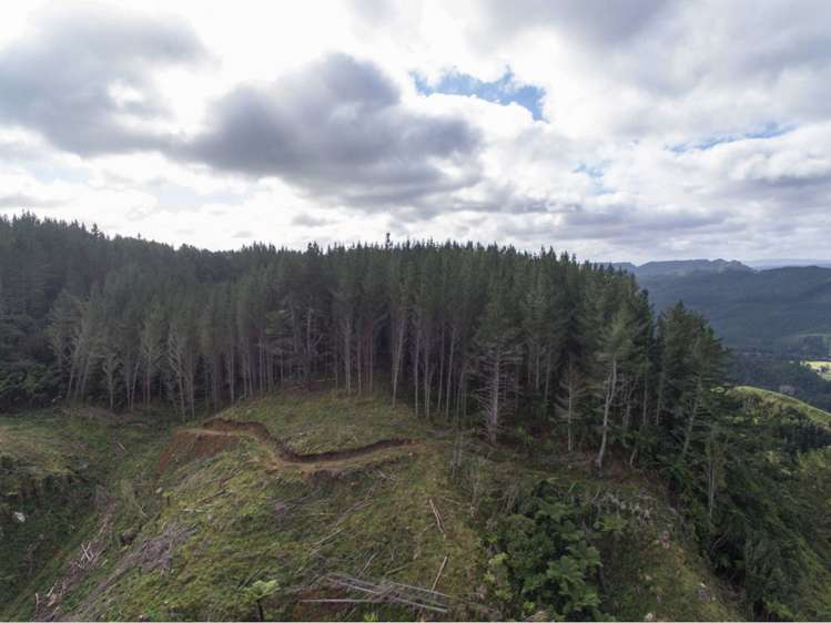 15 State Highway 49 Ohakune_14