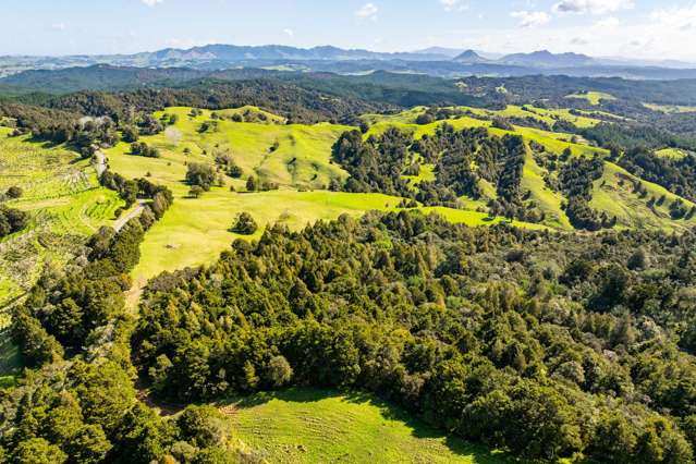 Baker Road Maungatapere_1