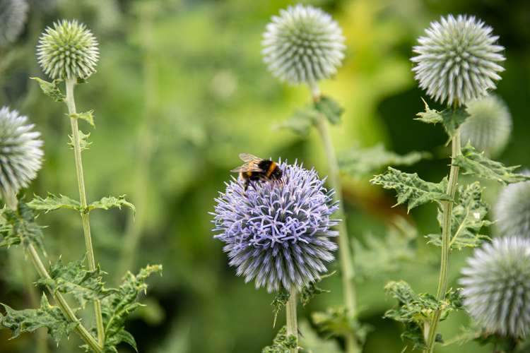 52 Rayner Road Huntly_19