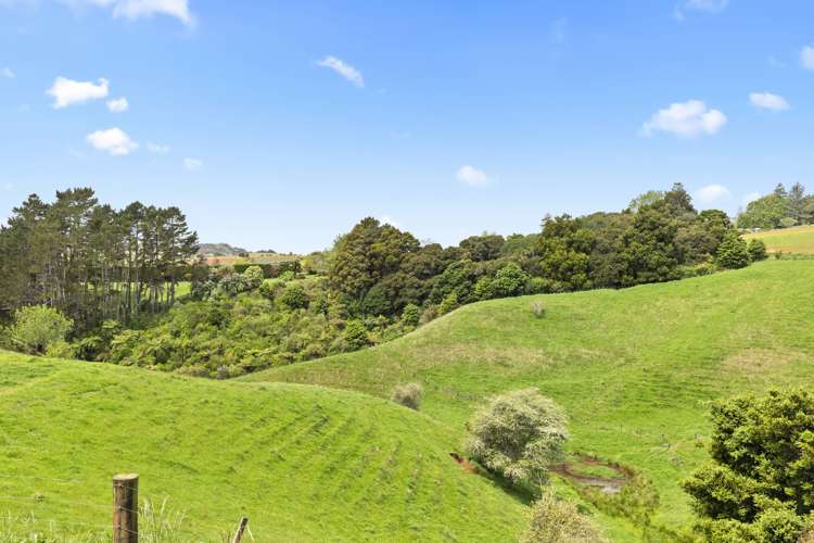 152c Aka Aka Road Puni_10