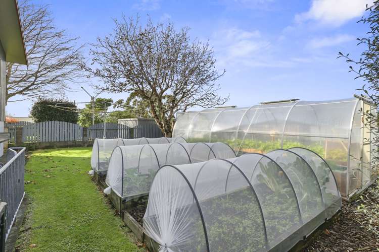 167 Govett Avenue Frankleigh Park_16