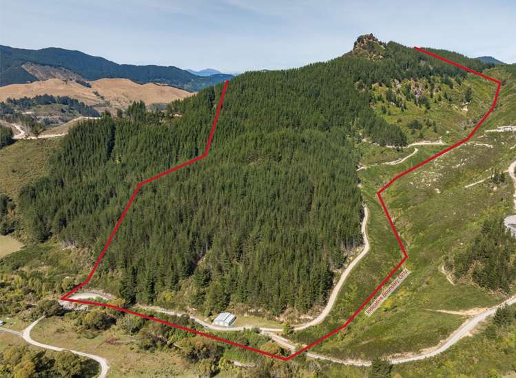 297 Graham Valley Road_0