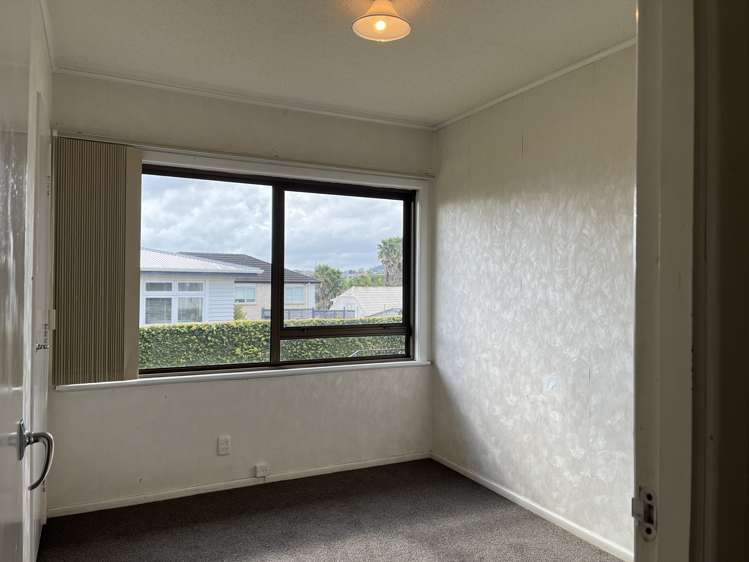 64 Kimber Hall Ave Mount Roskill_11