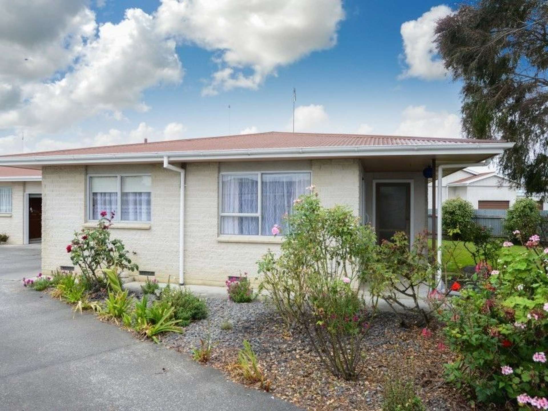 1/211 Windsor Avenue Parkvale_0