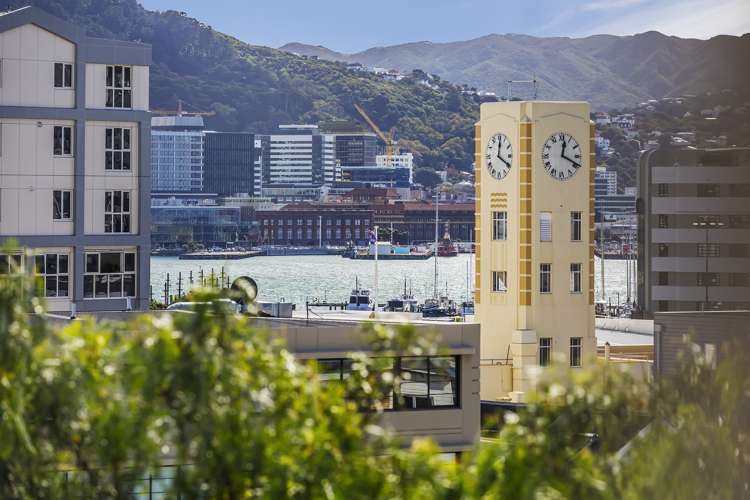 1 Levy Street Mount Victoria_2