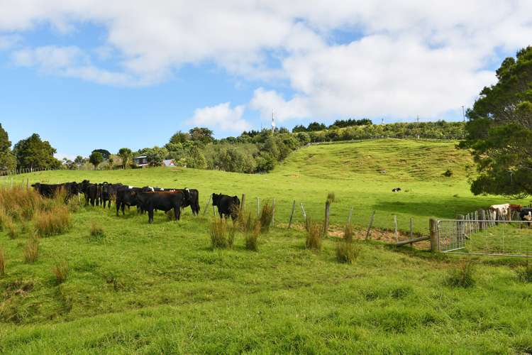 65 Rodney Road Pakiri_7