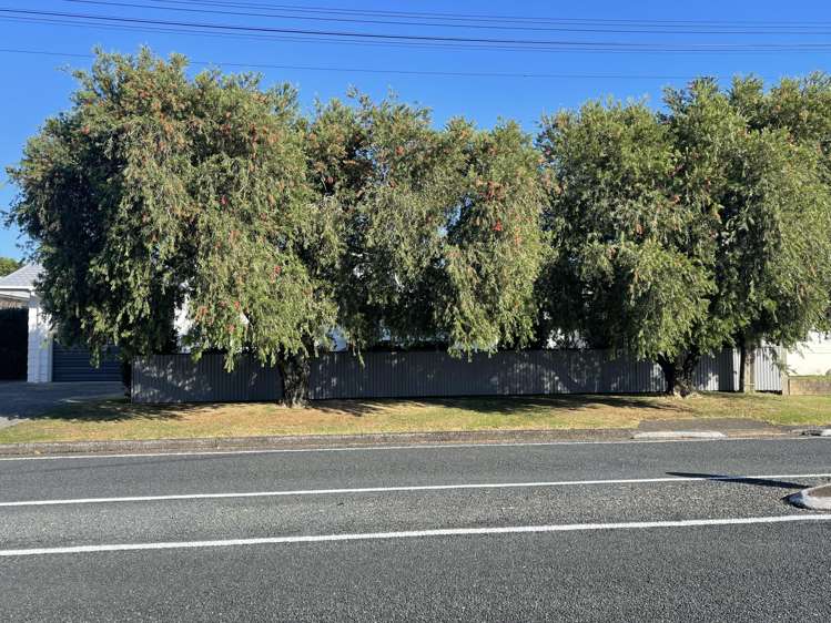 11 Mains Avenue Kensington_15