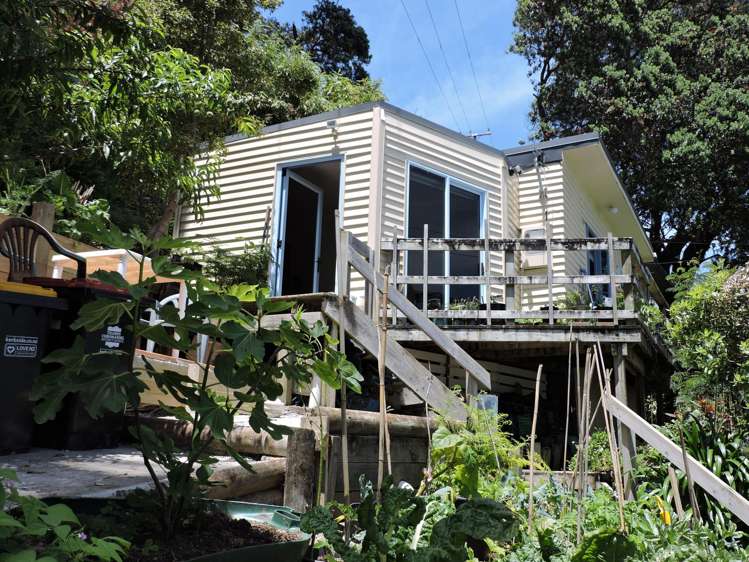 824 Thames Coast Road Te Mata_11