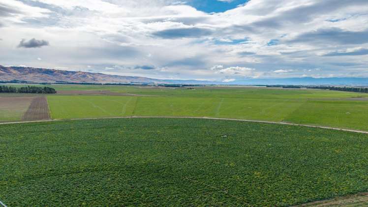 263 Puketoi Runs Road Puketoi_21