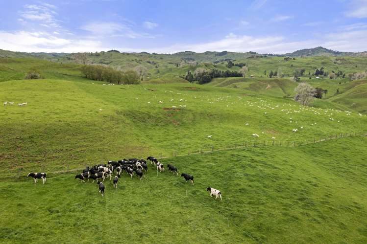 80 Parakoko Road Aria_6