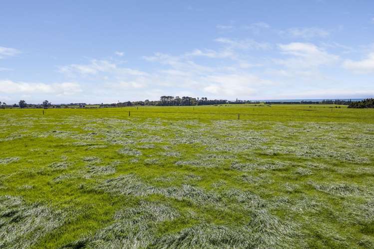 50 Johnston Street Waitara_23