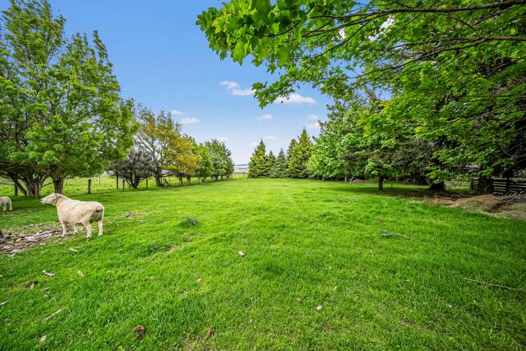 19 Bedford Street 31 Holmes Street Mossburn_17