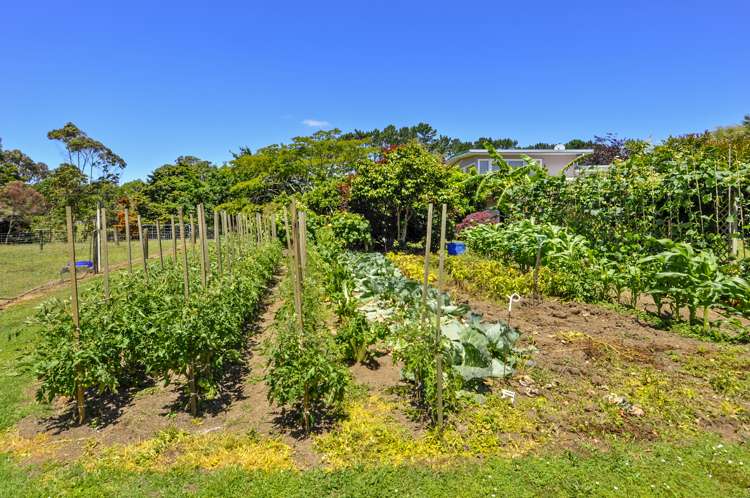 326 Matua Road Kumeu_11