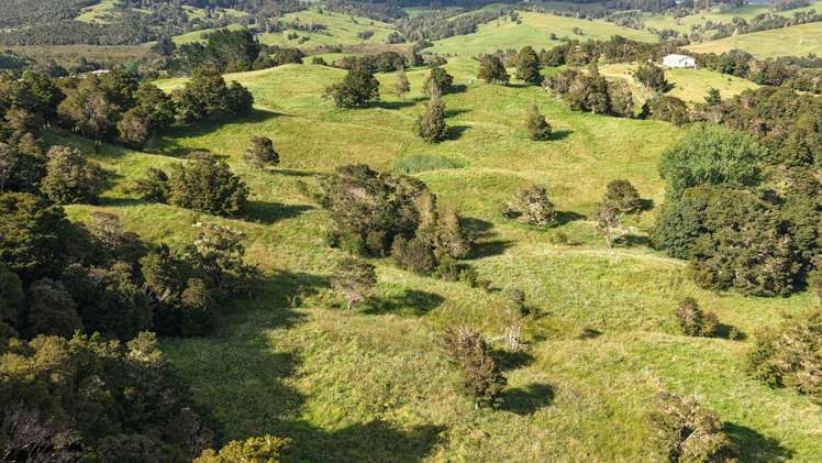 125 Orira Road Umawera_16