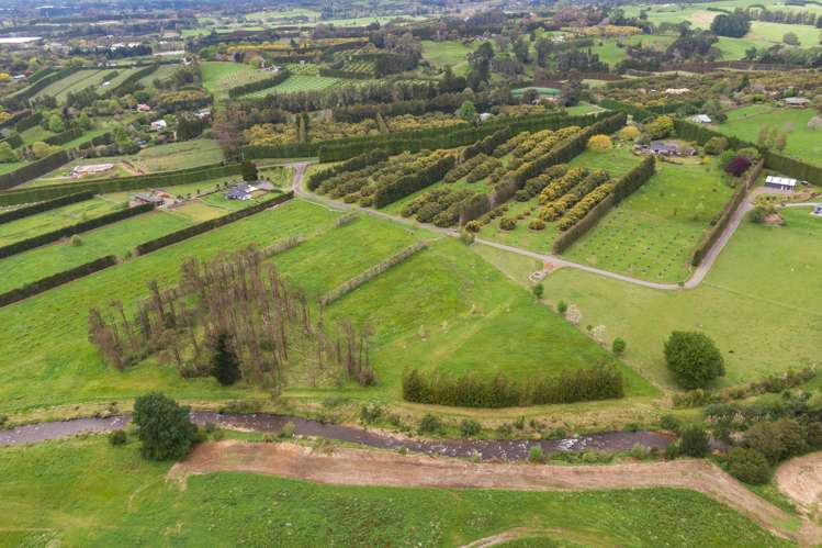 56 Thompsons Track Aongatete_21