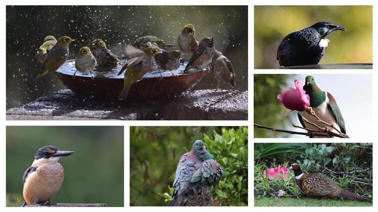 10 Hurinui Avenue Whakatane_23