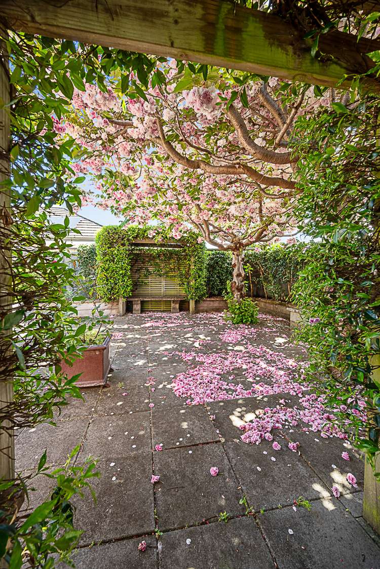 11 Roussel Place Springlands_20