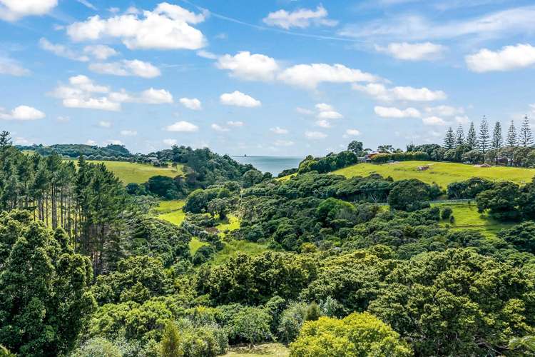 Lot 2 & 3 Landowners Lane Tutukaka_17