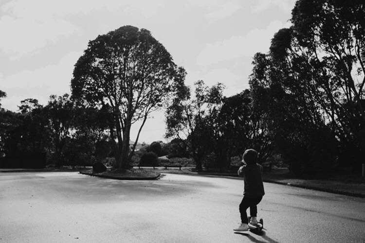 32 Seaward Place Wattle Downs_16