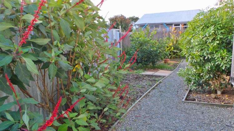 2 Beechwood Avenue Levin_6