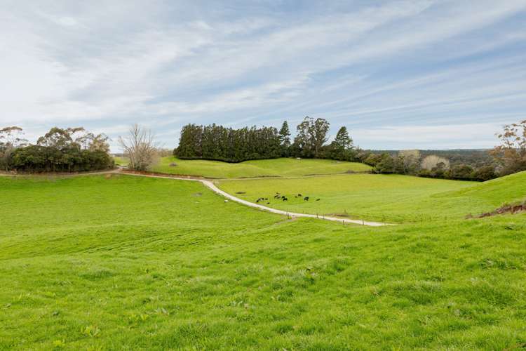 936 Pongakawa Bush Road Pongakawa_23