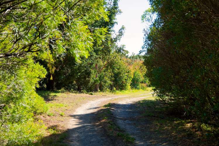 317 Caseys Road Blind River_28