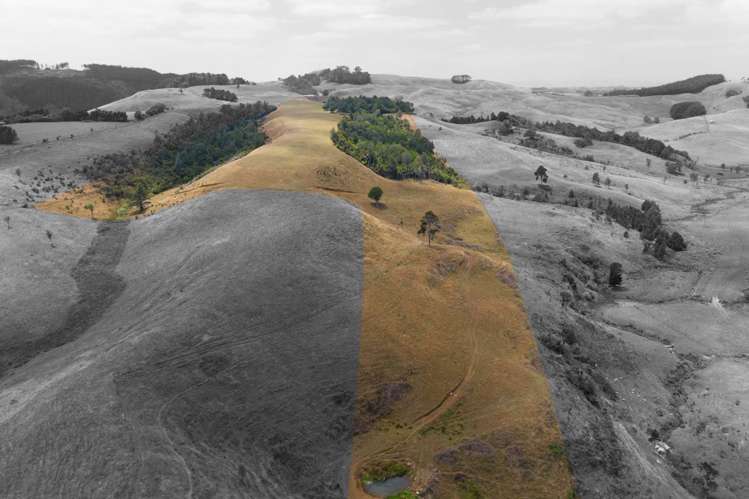 1149 Waikaretu Valley Road Waikaretu_17