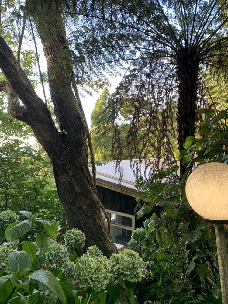 45 Takahe Road Titirangi_11