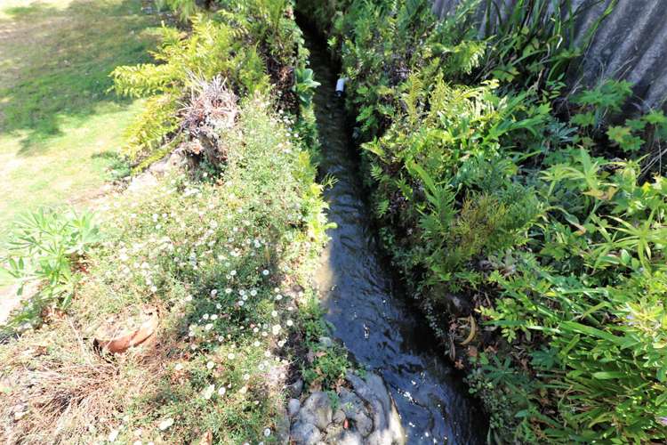 9 Cotter Street Greytown_5