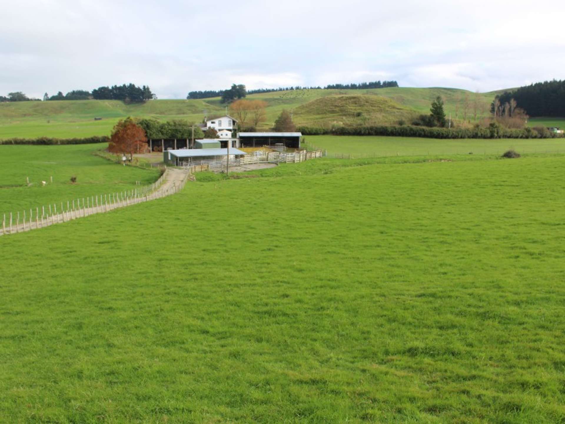 86 Glengarry Road Dannevirke_0