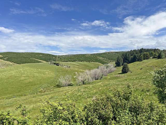 107 Balmoral Road Livingstone_4