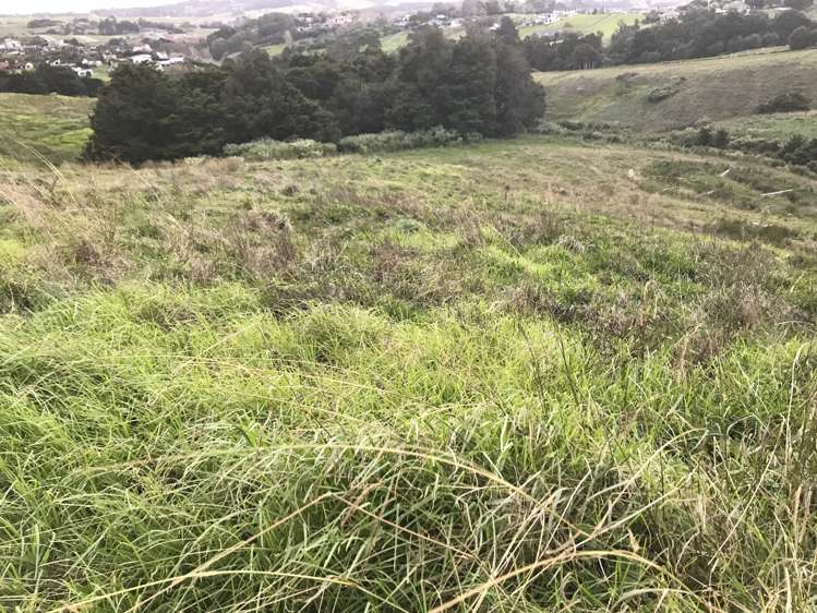 9 Kitenga Road Flat Bush_9