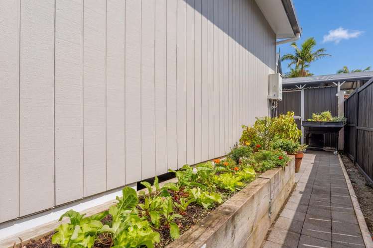 50A D'Oyly Drive Stanmore Bay_42