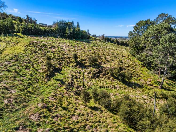 193 Lindemann Road Katikati_26