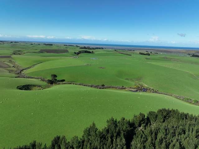 276 Middleton Road Waimahaka_2