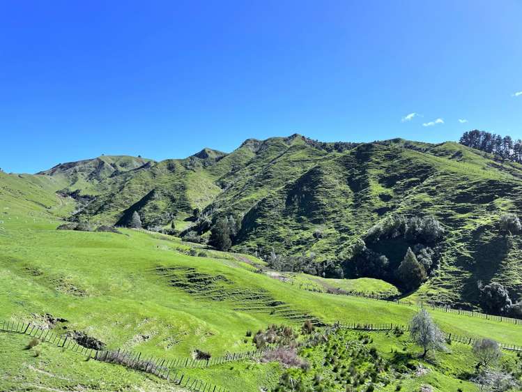 166 Saddler Road Ruapehu_10