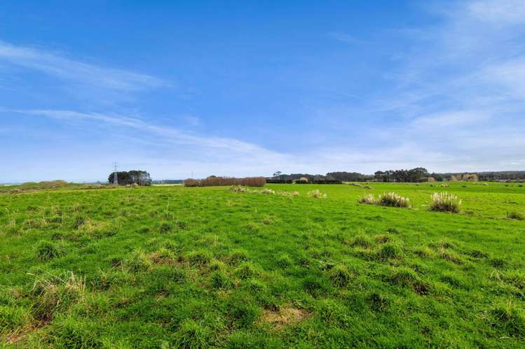 294 Kiri Road Te Kiri_36
