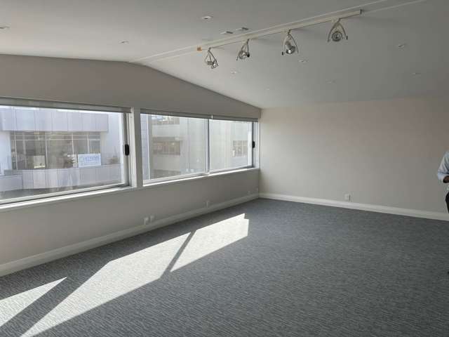 51 Randolph Street Eden Terrace_1