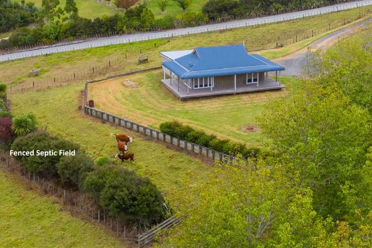 474 Poplar Glade Mangawhai_5