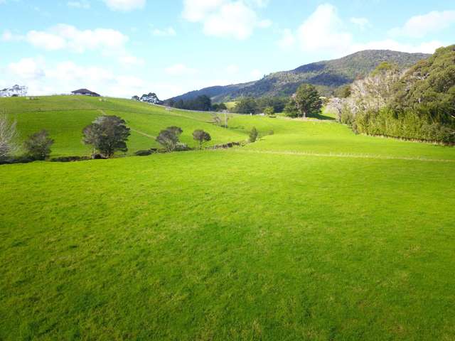 Larmer Road Kaitaia_4