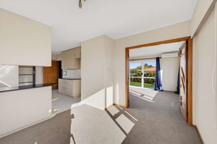 191 Omata Road Blagdon_8