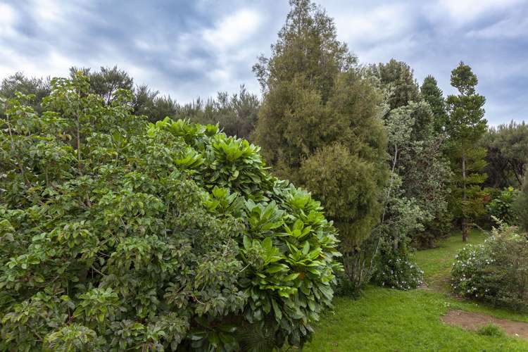 4 Magnolia Drive Cable Bay_18