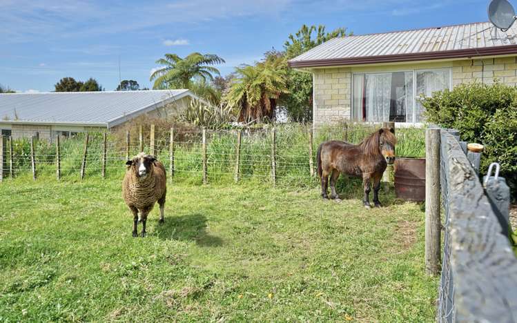 30 Wilson Road South Paengaroa_19