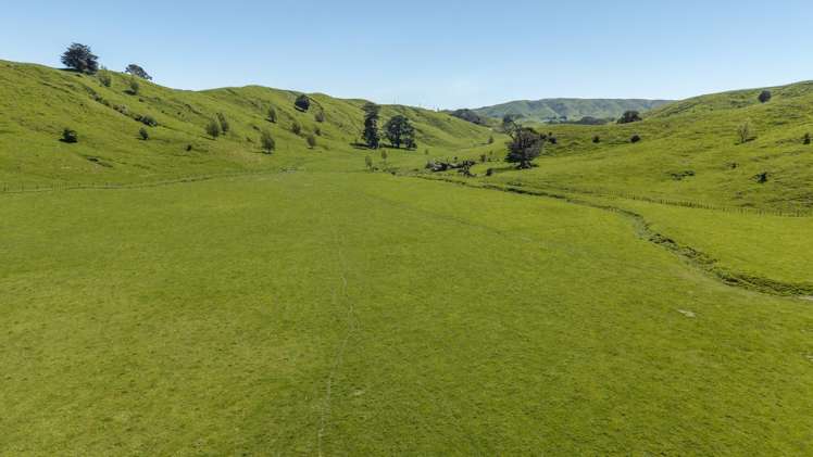 344 North Road Masterton_14