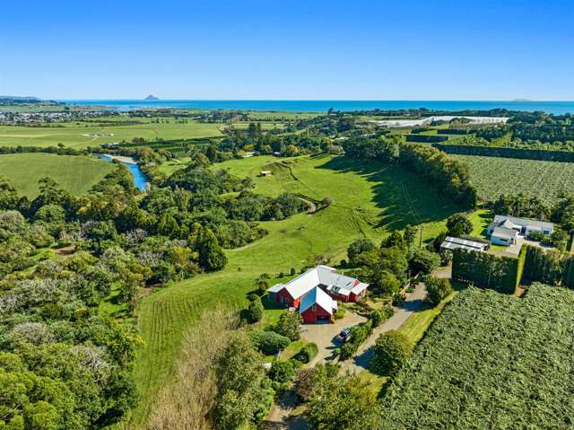 306 Tablelands Road Opotiki Coastal_2