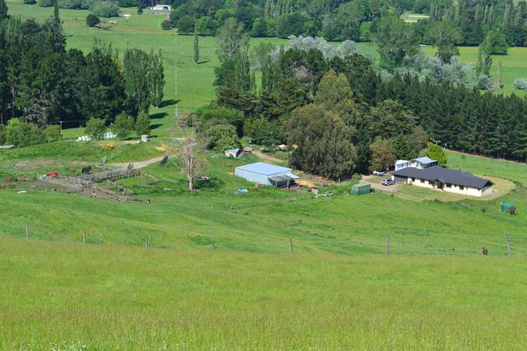 600 Island Stream Road Five Forks and Surrounds_0