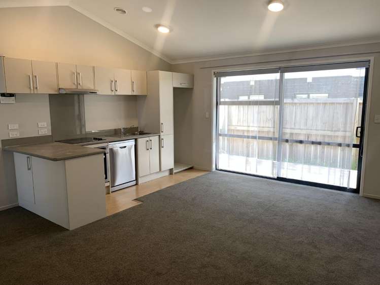 54B Campbell Street Frankton_1