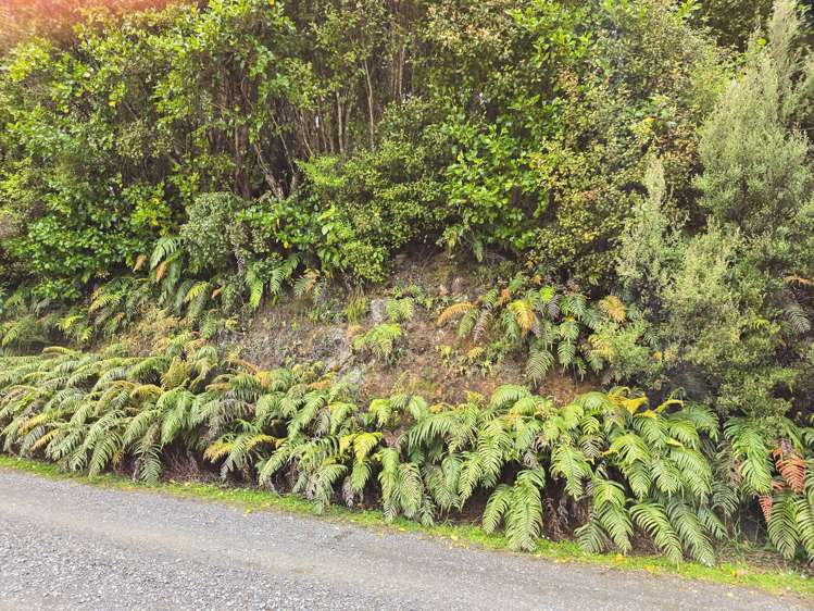 7 Rata Street Stewart Island_6