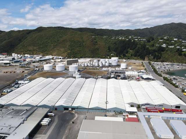 25 Toop Street Seaview_1